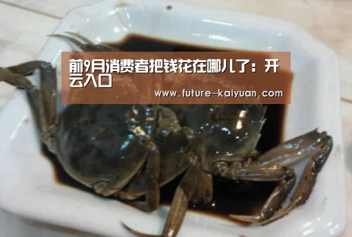 前9月消费者把钱花在哪儿了：开云入口
